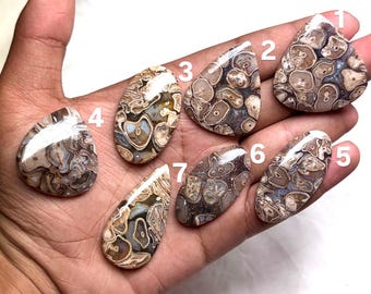 Natural Turritella Agate Loose Stone | Polished Crystal | Root Chakra Healing Gemstone