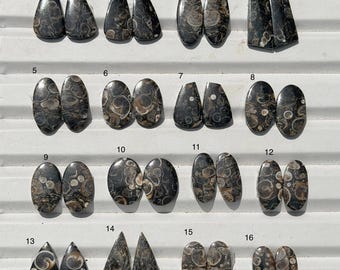 Trutella Agate Gemstone | Banded Crystal Collector Specimen (Jewelry Making Supply)