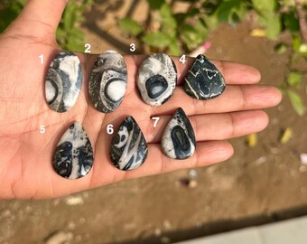 Orthoceras Fossil Gemstone | Ancient Cephalopod Stone | Grounding Protection Crystal | Polished Natural Fossil Decor