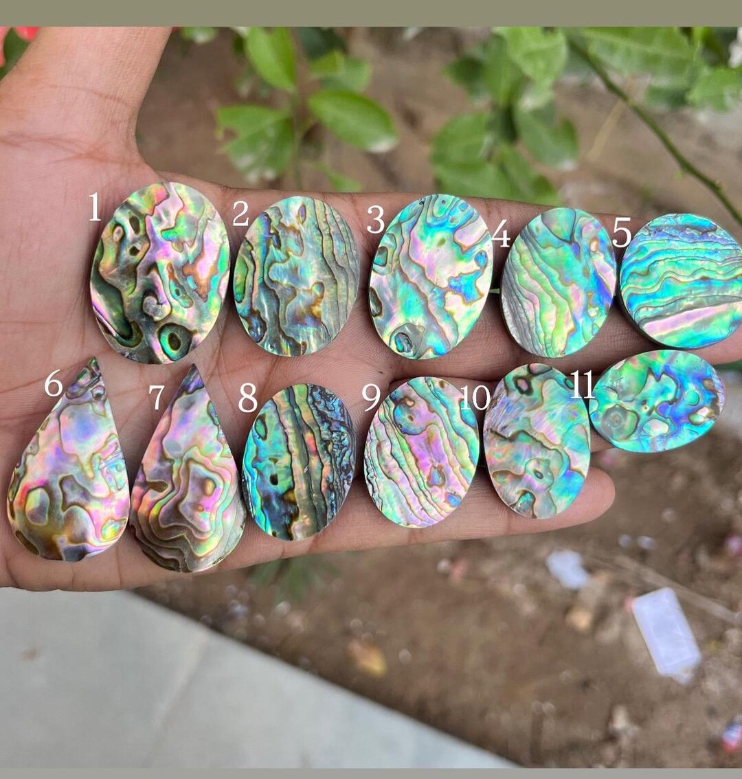 Abalone Shell A One Quality 100% Natural Abalone Shell Gemstone ...