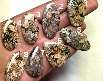 Natural Turritella Agate Loose Stone | Polished Crystal | Root Chakra Healing Gemstone