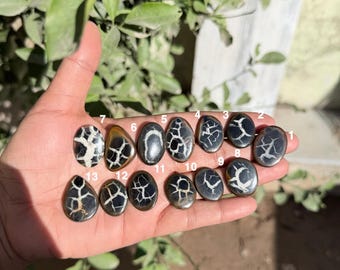 Septarian Gemstone | Dragon Stone Crystal | Natural Healing Stone for Meditation & Home Decor”