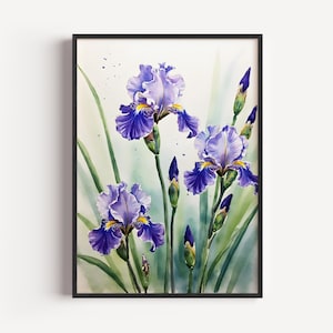 Puede incluir: Una pintura de acuarela enmarcada con tres flores de iris moradas con detalles amarillos. La obra de arte muestra las flores en plena floración, con tallos y hojas verdes sobre un fondo de acuarela suave. La pintura está encerrada en un marco negro.