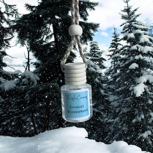 May include: A clear glass car air freshener with a light blue label reading "Frosted Wonderland" and "The Wax Company". It is suspended by a beige and gold string, with a wooden bead and a wooden cap. The background shows snow-covered trees.