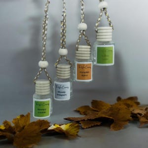 May include: Four small glass bottles with wooden caps and labels, suspended from braided cords. The labels read "Pumpkin Spice", "Mostly Whispers", "Yellow Apples", and "Spooky Zombie". The bottles hang against a grey background with dried leaves.