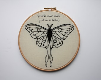 SALE! hand embroidered moth. modern embroidery hoop art. hand stitched scientific illustration / lunar moon moth. original art embroidery