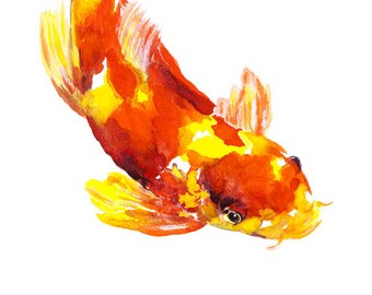 Orange & Yellow Koi Fish watercolor print signed by artist Stephanie Kriza