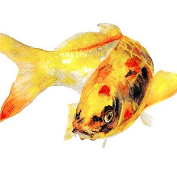 Yellow Koi Fish watercolor print signed by artist Stephanie Kriza