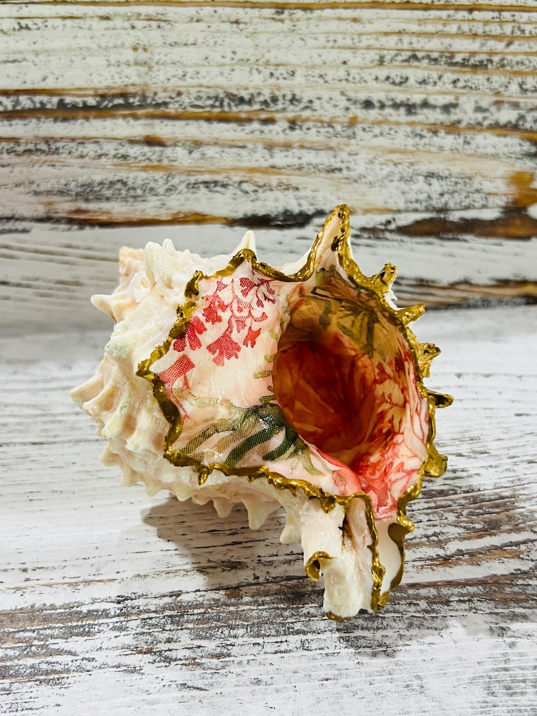 Hand Decorated Shell - Etsy