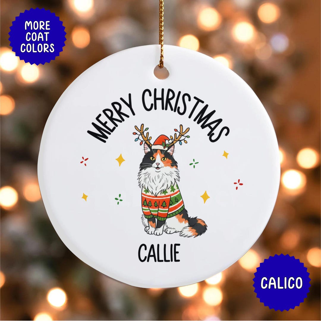 Longhair Cat Custom Cat Name Ornament | Personalized Pet Christmas ...