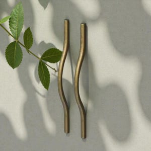 May include: Two brass-colored, curved cabinet pulls are mounted on a light gray surface. The pulls have a slender, wavy design. A green leafy branch is in the upper left corner, casting a shadow on the wall.