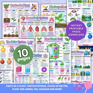 May include: A collection of ten educational printable pages featuring colourful diagrams and text about science topics including the solar system, plant cells, human body systems, photosynthesis, matter, and ecosystems with clear labels and illustrations.