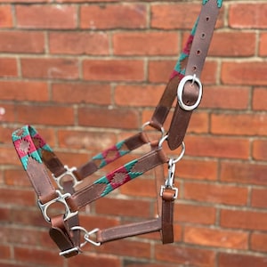 May include: A brown leather horse halter with teal and red woven fabric detailing. The halter has silver-coloured metal hardware, including buckles and a snap hook. The background is a red brick wall.