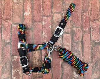 May include: A black horse halter with a vibrant rainbow pattern, complemented by silver metal fittings. The set includes a matching lead rope. The items are presented against a brick wall background.