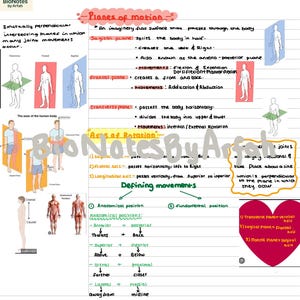 May include: Anatomy study notes on a digital tablet. The image shows diagrams of human anatomy, including planes of motion, axes of rotation, and anatomical positions. Text includes definitions and directional terms.