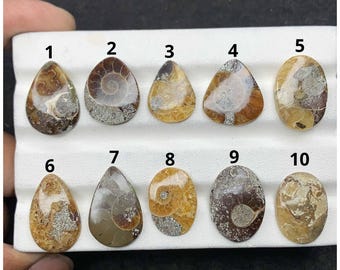 Monete ammonite naturali, cabochon lisci di varie forme, pietre preziose sfuse per la creazione di gioielli fatti a mano OS-580