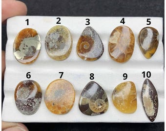 Natural Ammonite Gemstone Mix Shape Smooth Cabochons Loose Gemstones For Jewelry Making Handmade OS-581