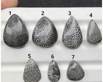 Natural Black fossil Coral Gemstone Mix Shape Smooth Cabochons Loose Gemstones For Jewelry Making Handmade OS-582