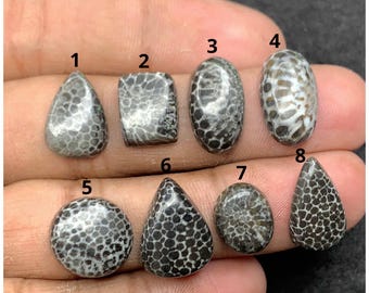 Corallo fossile nero naturale, misto di forme, cabochon lisci, pietre preziose sfuse per la creazione di gioielli fatti a mano OS-578
