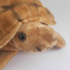 Pode incluir: Uma tartaruga de pelúcia com uma carapaça marrom e um corpo macio e texturizado. A tartaruga tem um rosto detalhado com olhos escuros e uma expressão gentil. O brinquedo é projetado para se assemelhar a uma tartaruga real.