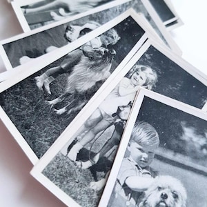 Vintage 1930s Carreras Dogs & Friends Cigarette Cards