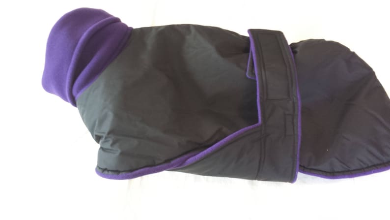 226 Black WaterproofBreathable Dog Raincoat with Purple Fleece Interior Whippet Dog Coat