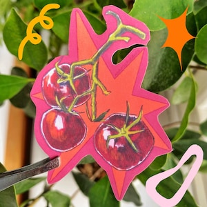 Tomato Vinyl Sticker Matte Waterproof for Laptop or Journalling