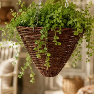 Hanging wicker plant basket, Wicker Hanging Planter,Woven Hanging Basket,Rattan Hanging Planter,Wicker Flower Basket,Outdoor Hanging Planter