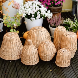 May include: A collection of seven woven wicker lampshades in various shapes and sizes. The shades are a natural tan color and have a textured, basket-weave design. The lampshades are arranged on a dark wooden surface, with potted plants in the background.