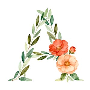 May include: A decorative letter A formed by watercolor illustrations of green olive branches and leaves. The design features a cluster of two blooming flowers in shades of coral and peach, along with a small closed flower bud attached to the right side.