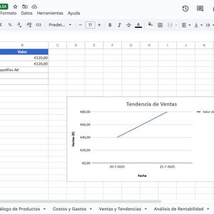 Personal Finance Template for Google Sheets | Monthly and Annual Income and Expense Tracking | Editable and Automatic