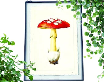 Stained Glass Toadstool Mushroom Natural History Illustration Panel | Wall Art | Floating Frame | Green Academia, Forest, Woodland, Magical