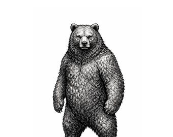 Anthropomorpher Bär – schwarze Tinte Illustration PNG Download | Druckbare Wandkunst | Minimal Art