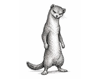 Anthropomorphes Wiesel – Schwarze Tinte Illustration PNG Download | Druckbare Wandkunst | Minimal Art