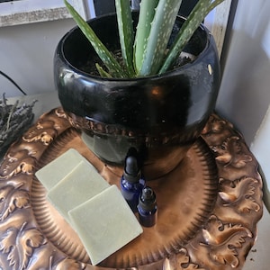Aloe Vera and Agave Soap