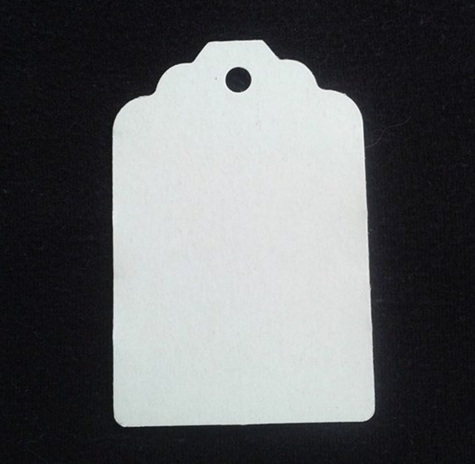 Paw Print Tags / Dog / Cat / Dog Gift / Cat Gift / Gift Tag - Etsy