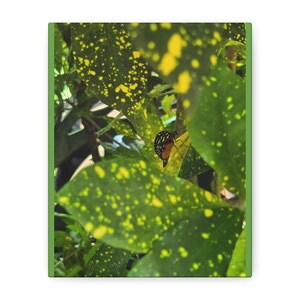 Vibrant Nature Canvas Art, Botanical Wall Decor, Inspirational Home Gift,  Butterfly Wall Hanging