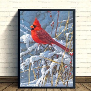 Peut inclure: Impression encadrée représentant un cardinal rouge vif perché sur une branche enneigée. L'oiseau a une crête distinctive et des marques faciales noires. L'œuvre est posée sur un fond bleu doux avec des touches de baies rouges et d'herbe jaune.