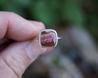 Size 6.5 Red Falcon Picture Jasper ring. Sterling silver triangle band.