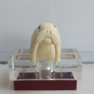 May include: A small, off-white carved walrus figurine featuring two prominent tusks, dark circular eyes, and etched whisker details. The figurine is mounted on a clear, rectangular acrylic block base that sits atop a solid dark red rectangular stand.