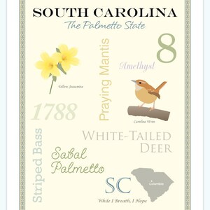 South Carolina State stolz Serie 11 x 14 Poster Bild 1