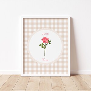 May include: A framed print featuring a pink rose illustration. The artwork is set against a beige and white checkered background. The word "June" is at the top, and "Rose" is written below the flower.