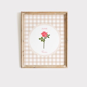 May include: Framed print featuring a pink rose illustration. The artwork is set against a beige and white gingham pattern. The word "June" is above the rose, and "Rose" is written below. The frame is a light brown color.