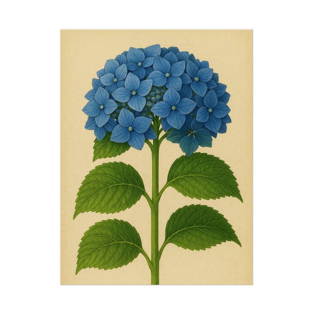 Vintage Blue Hydrangea Floral Art Print: Botanical Nature Wall Decor V ...