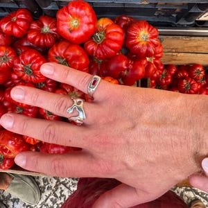 K&ouml;nnte beinhalten: Eine Hand mit zwei silbernen Ringen, einer davon mit einem rechteckigen roten Stein. Die Hand liegt auf einem Bett aus reifen, roten Tomaten. Pfirsiche sind im Hintergrund zu sehen, was auf einen Markt oder eine Produktausstellung hindeutet.