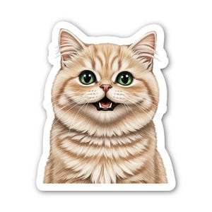 Persian cream cat vinyl sticker close up for water bottle, laptop, phone case, waterproof, dishwasher safe  kitten kitty