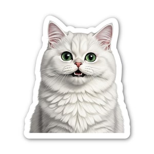 Persian white cat vinyl sticker close up for water bottle, laptop, phone case, waterproof, dishwasher safe,  kitten kitty