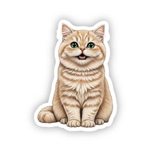 Persian cream cat vinyl sticker for water bottle, laptop, phone case, waterproof, dishwasher safe  kitten kitty