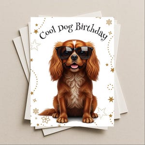 May include: A greeting card with the text "Cool Dog Birthday" features a brown Cavalier King Charles Spaniel wearing sunglasses. The card has a white background with gold star and snowflake accents.