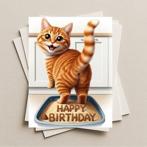May include: A greeting card featuring a cartoon orange tabby cat standing in a litter box. The cat is smiling with its tail up. The words "HAPPY BIRTHDAY" are spelled out in brown material within the litter box.
